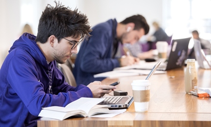 Male student studying at laptop