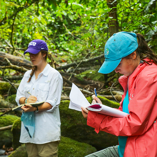 Students writing notes in the forrest creek bed