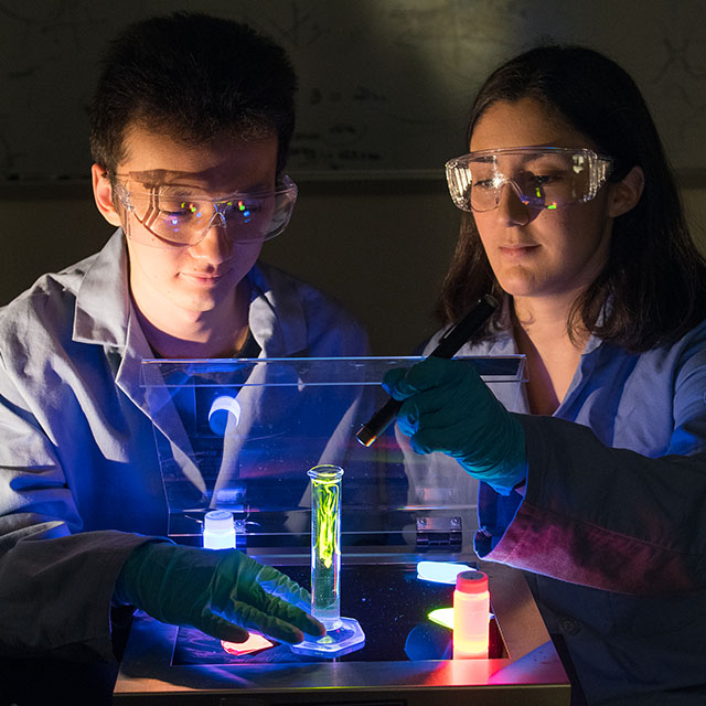 Students observing fluorescent liquid in a beaker